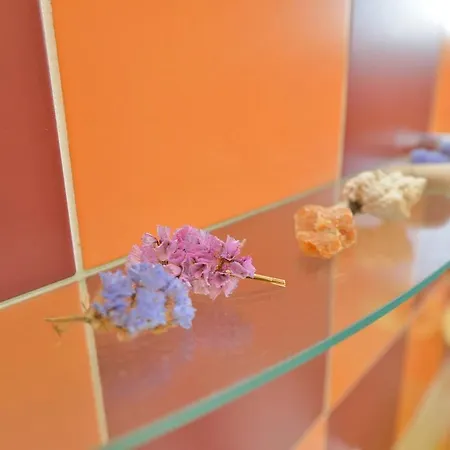 伊芙内公寓 *